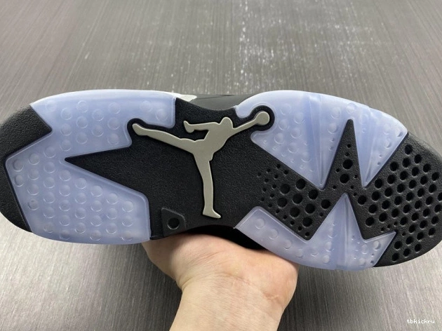 Reps TBkick Silver 6 Air DX2836-001 Metallic Jordan 0706